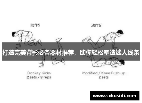 打造完美背影必备器材推荐，助你轻松塑造迷人线条