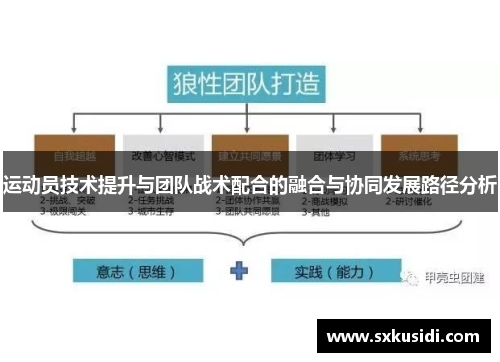 运动员技术提升与团队战术配合的融合与协同发展路径分析