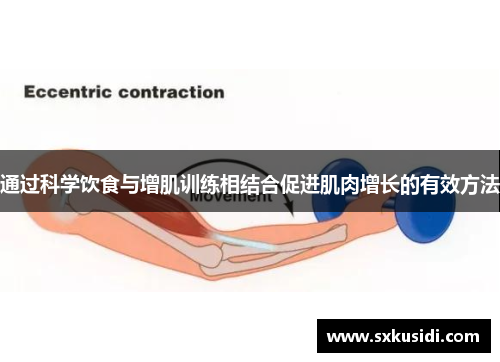 通过科学饮食与增肌训练相结合促进肌肉增长的有效方法