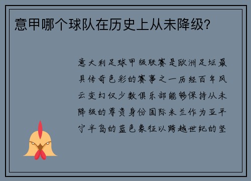 意甲哪个球队在历史上从未降级？