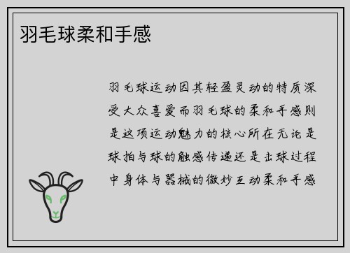 羽毛球柔和手感